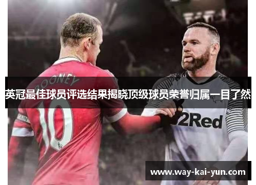 英冠最佳球员评选结果揭晓顶级球员荣誉归属一目了然