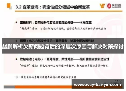 赵鹏解析欠薪问题背后的深层次原因与解决对策探讨