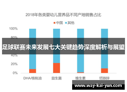 足球联赛未来发展七大关键趋势深度解析与展望