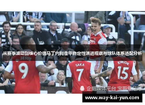 从赛季波动到核心价值马丁内利意甲稳定性演进观察与球队体系适配分析