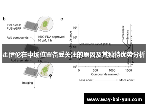 霍伊伦在中场位置备受关注的原因及其独特优势分析